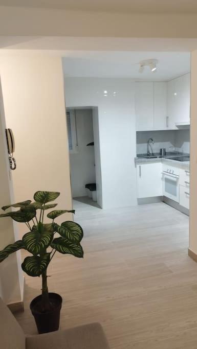 Apartamento Moderno A 1Km De 格拉纳达 外观 照片